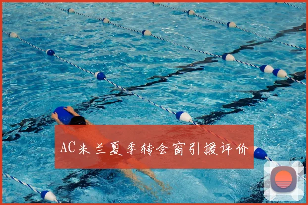 AC米兰夏季转会窗引援评价